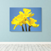 Spring Daffodils Leinwand Fine Art Prints Blue Sky (Insitu (Holzboden))