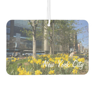 Spring Daffodis Columbus Circle New York City NYC Autolufterfrischer