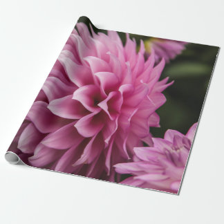 Spring Dahlia Blume Geschenkpapier