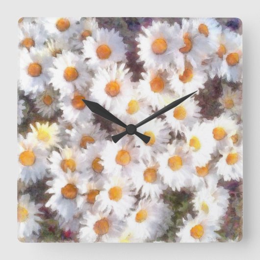Spring Daisy Wildblume Wasserfarbe Quadratische Wanduhr (Vorderseite)