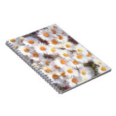 Spring Daisy Wildblume Watercolor Notizblock (Rechte Seite)
