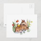 Spring Deer Postkarte (Vorne/Hinten)