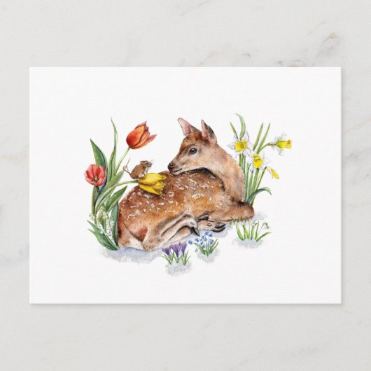 Spring Deer Postkarte (Vorderseite)