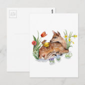 Spring Deer Postkarte (Vorne/Hinten)