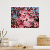 Spring Dogwood Blossoms Kunstdrucke Leinwand gerah Poster (Küche)