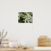 Spring Dogwoods in Marshall Bloom Poster (Küche)