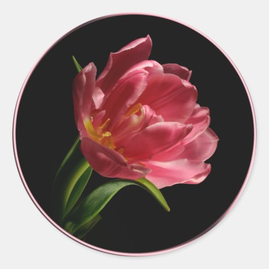Spring Double Bloom Tulip Umschlag Aufkleber Stick (Vorderseite)