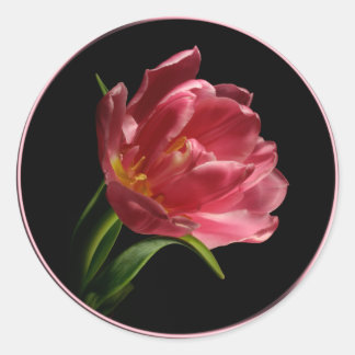 Spring Double Bloom Tulip Umschlag Aufkleber Stick