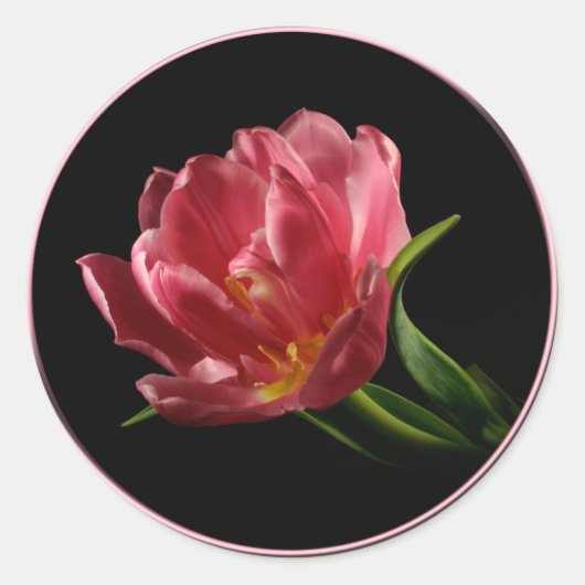 Spring Double Bloom Tulip Umschlag Aufkleber Stick (Vorderseite)