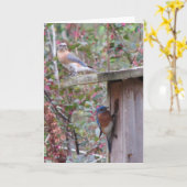Spring Eastern Bluebirds Karte (Gelbe Blume)