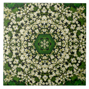 Spring Elderberry Blume Keramik Tile Fliese