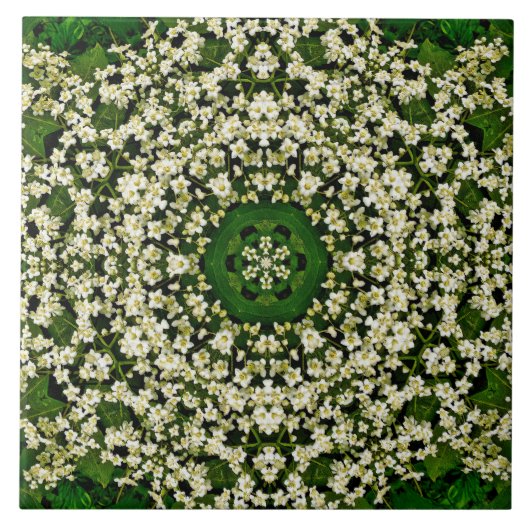 Spring Elderberry Blume Keramik Tile Fliese (Vorderseite)
