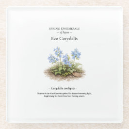 Spring Ephemerals of Japan – Ezo Corydalis Glasuntersetzer