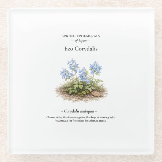 Spring Ephemerals of Japan – Ezo Corydalis Glasuntersetzer (Vorderseite)