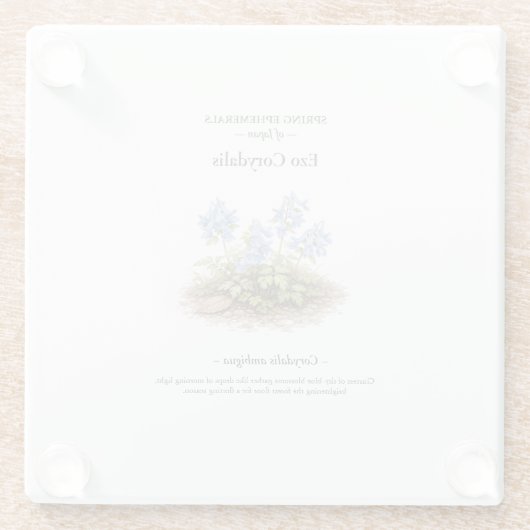 Spring Ephemerals of Japan – Ezo Corydalis Glasuntersetzer (Rückseite)