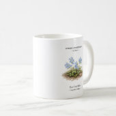 Spring Ephemerals of Japan – Ezo Corydalis Kaffeetasse (VorderseiteRechts)