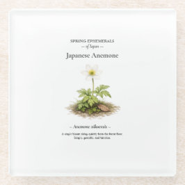 Spring Ephemerals of Japan – Japanese Anemone Glas Glasuntersetzer