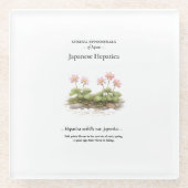 Spring Ephemerals of Japan – Japanese Hepatica Glasuntersetzer (Vorderseite)