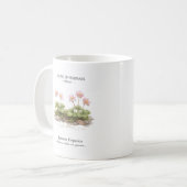 Spring Ephemerals of Japan – Japanese Hepatica Kaffeetasse (Vorderseite Links)
