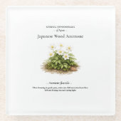 Spring Ephemerals of Japan – Japanese Wood Anemone Glasuntersetzer (Vorderseite)