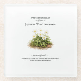 Spring Ephemerals of Japan – Japanese Wood Anemone Glasuntersetzer
