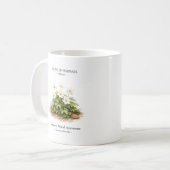 Spring Ephemerals of Japan – Japanese Wood Anemone Kaffeetasse (Vorderseite Links)