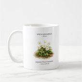 Spring Ephemerals of Japan – Japanese Wood Anemone Kaffeetasse (Links)