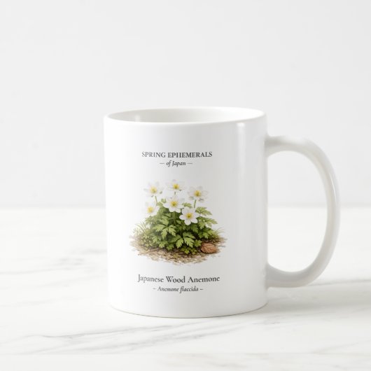 Spring Ephemerals of Japan – Japanese Wood Anemone Kaffeetasse (Rechts)