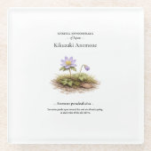 Spring Ephemerals of Japan – Kikuzaki Anemone Glasuntersetzer (Vorderseite)