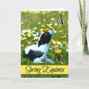 Spring Equinox Ostara Segen Welpe & Butterfly Karte