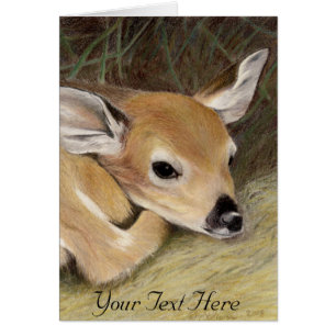 Spring Fawn