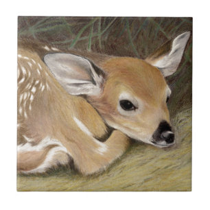 Spring Fawn Fliese