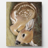 Spring Fawn Fotoplatte (Vorderseite)