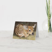 Spring Fawn Karte (Vorderseite)