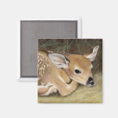 Spring Fawn Magnet (Vorderseite/Rückseite)