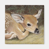 Spring Fawn Magnet (Vorne)
