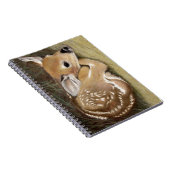 Spring Fawn Notizblock (Rechte Seite)