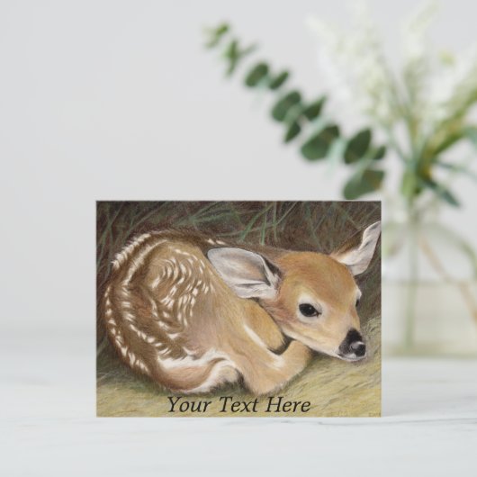 Spring Fawn Postkarte (Stehend Vorderseite)