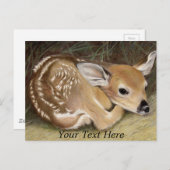 Spring Fawn Postkarte (Vorne/Hinten)