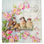 Spring Feathers Duschvorhang (Vorderseite)