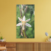 Spring flora South Africa Canvas Print Leinwanddruck (Insitu (Wohnzimmer))