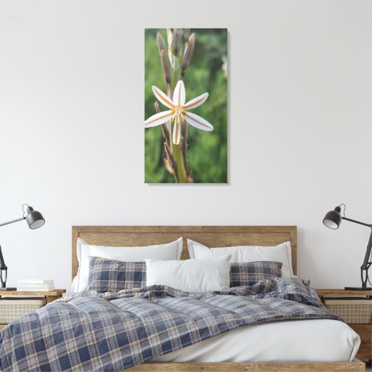 Spring flora South Africa Canvas Print Leinwanddruck (Insitu (Schlafzimmer))