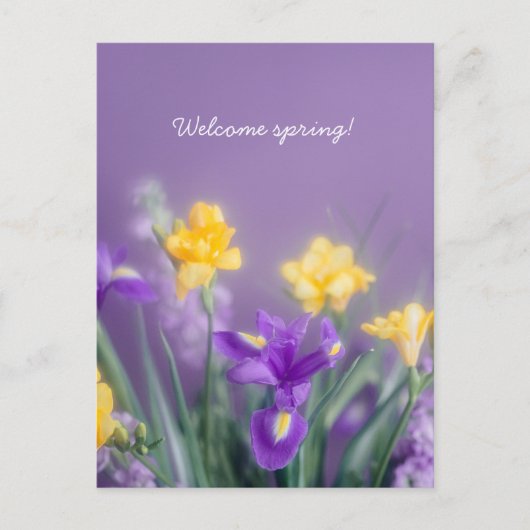 Spring Floral Greeting, pastel aesthetic Postkarte (Vorderseite)
