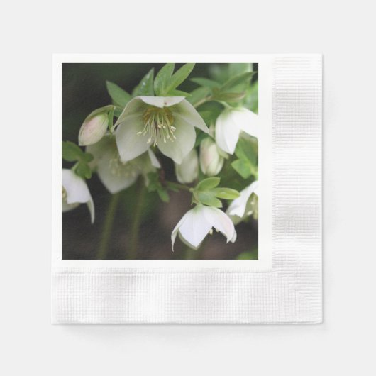 Spring Floral Paper Napkin Serviette (Vorderseite)