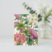 Spring Florals Postkarte (Stehend Vorderseite)