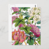 Spring Florals Postkarte (Vorne/Hinten)