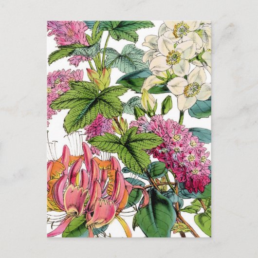 Spring Florals Postkarte (Vorderseite)