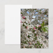 Spring flower begleitkarte (Vorne/Hinten)