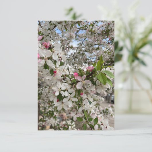 Spring flower begleitkarte (Stehend Vorderseite)