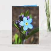 Spring Flowers Greeting Card Karte (Vorderseite)